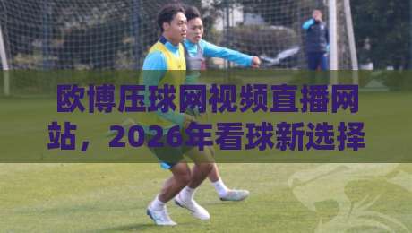 欧博压球网视频直播网站，2026年看球新选择？（欧博压球网视频直播网站）实测报告