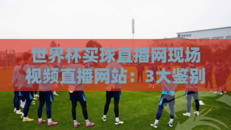 世界杯买球直播网现场视频直播网站：3大鉴别技巧+2026观赛实测