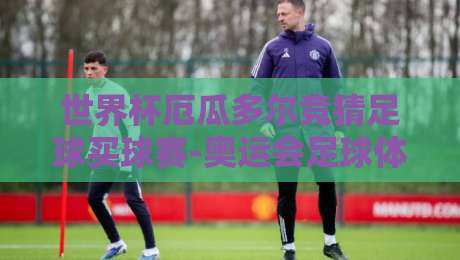 世界杯厄瓜多尔竞猜足球买球赛-奥运会足球体育买球赛：2026年体育竞猜新趋势与实用指南
