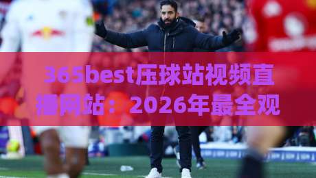 365best压球站视频直播网站：2026年最全观赛指南与实测体验(365best压球站视频直播网站)