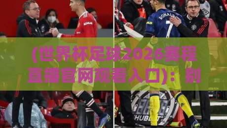 (世界杯足球2026赛程直播官网观看入口)：别找了，最全入口与观赛时间表在此