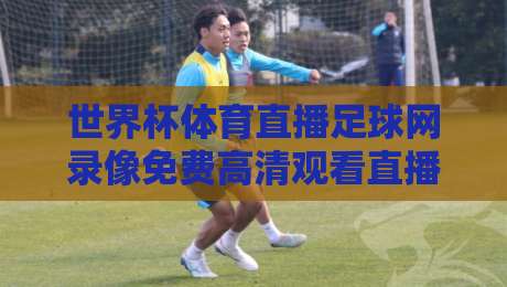 世界杯体育直播足球网录像免费高清观看直播，2026年最全观赛指南