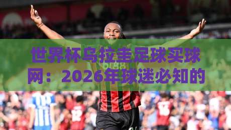 世界杯乌拉圭足球买球网：2026年球迷必知的新趋势与避坑指南