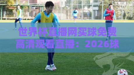 世界杯直播网买球免费高清观看直播：2026球迷必备的观赛指南与避坑心得