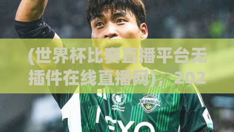 (世界杯比赛直播平台无插件在线直播网)，2026年球迷必收的宝藏观赛指南