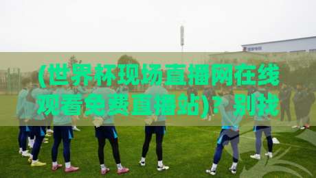 (世界杯现场直播网在线观看免费直播站)？别找了，2026年最全观赛指南在这儿呢【世界杯现场直播网在线观看免费直播站】