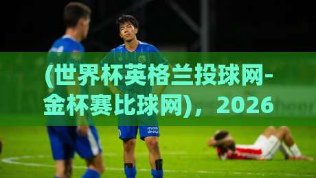 (世界杯英格兰投球网-金杯赛比球网)，2026年实战评测：谁才是草根球场的最佳选择？