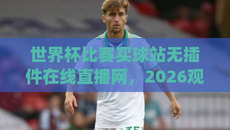 世界杯比赛买球站无插件在线直播网，2026观赛新趋势你get了吗？