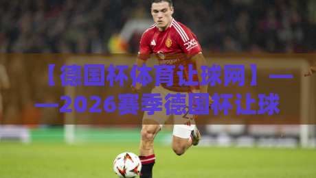 【德国杯体育让球网】——2026赛季德国杯让球盘口深度解读与实战技巧