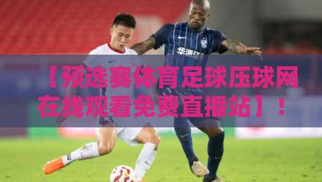 【预选赛体育足球压球网在线观看免费直播站】！2026年世预赛观赛指南，这些细节让你看得更爽