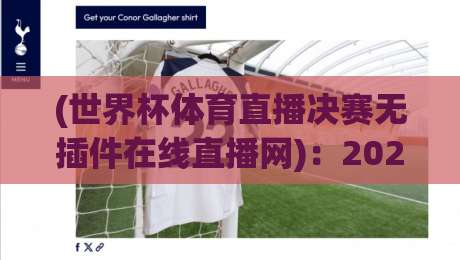 (世界杯体育直播决赛无插件在线直播网)：2026年决赛观赛终极指南