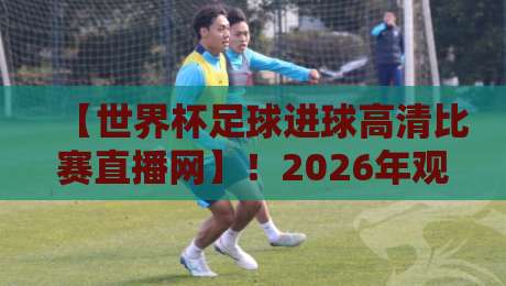【世界杯足球进球高清比赛直播网】！2026年观赛必备指南与实用技巧