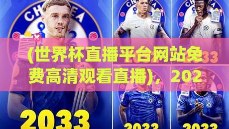 (世界杯直播平台网站免费高清观看直播)，2026年观赛指南，这些宝藏网站居然全免费！