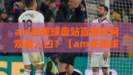 am亚美球盘站直播官网观看入口？【am亚美球盘】2026年观看入口全攻略