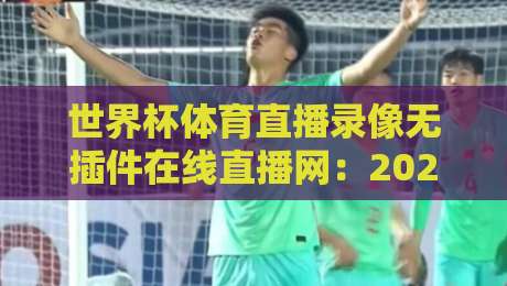 世界杯体育直播录像无插件在线直播网：2026年观赛新体验