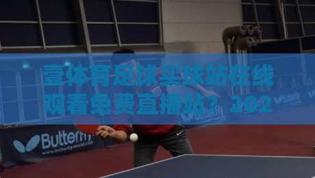 壹体育足球买球站在线观看免费直播站？2026年球迷实测分享与避坑指南🏆