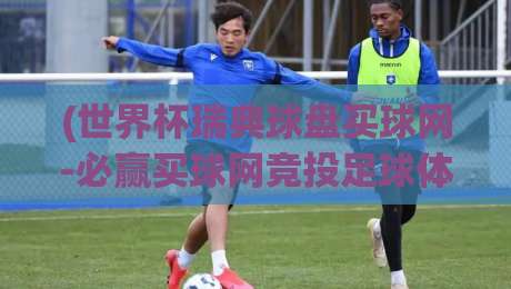 (世界杯瑞典球盘买球网-必赢买球网竞投足球体育)？2026年投注新玩法与平台测评！