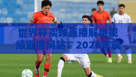 世界杯买球直播解说视频直播网站！2026年观赛新姿势：从入门到精通的全面指南
