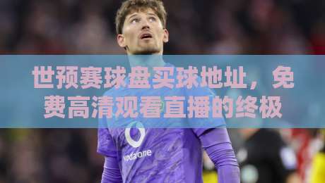 世预赛球盘买球地址，免费高清观看直播的终极攻略（2026版）