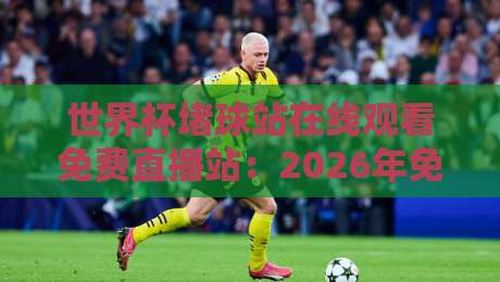 世界杯堵球站在线观看免费直播站：2026年免费观赛指南，球迷必看！