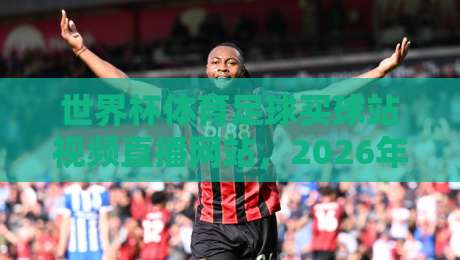 世界杯体育足球买球站视频直播网站，2026年看球不迷路！