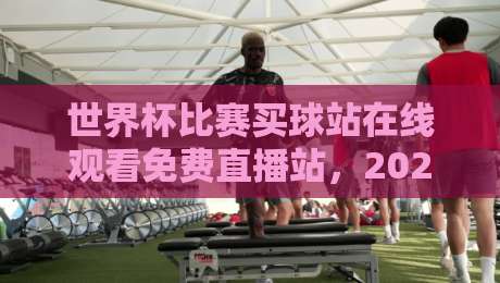世界杯比赛买球站在线观看免费直播站，2026年观赛新选择？