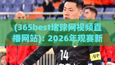 (365best堵球网视频直播网站): 2026年观赛新选择，高清流畅还带实时比分？