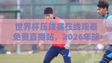 世界杯压球赛在线观看免费直播站，2026年球迷必收藏的四大观赛平台
