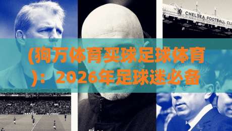 (狗万体育买球足球体育)：2026年足球迷必备的投注指南与赛事解析