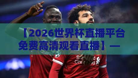 【2026世界杯直播平台免费高清观看直播】——别找了，这些宝藏渠道真能看！