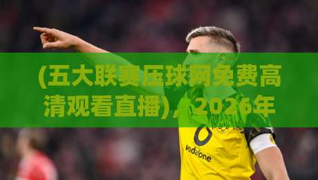 (五大联赛压球网免费高清观看直播)，2026年球迷必知的免费高清直播平台盘点
