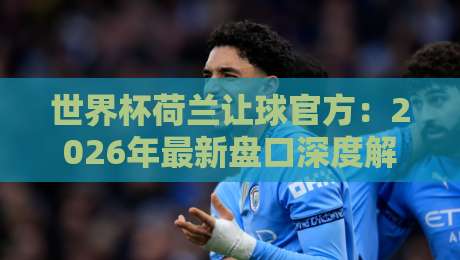世界杯荷兰让球官方：2026年最新盘口深度解析与投注策略