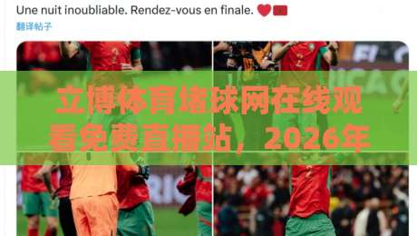 立博体育堵球网在线观看免费直播站，2026年最新观赛体验实测！