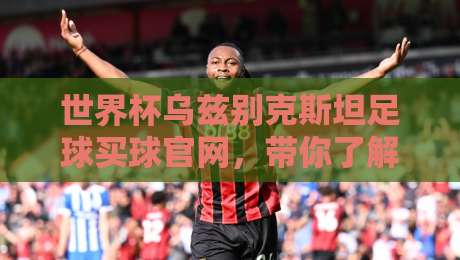 世界杯乌兹别克斯坦足球买球官网，带你了解2026新动向