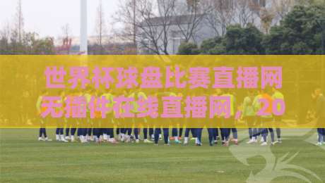 世界杯球盘比赛直播网无插件在线直播网，2026观赛新选择！