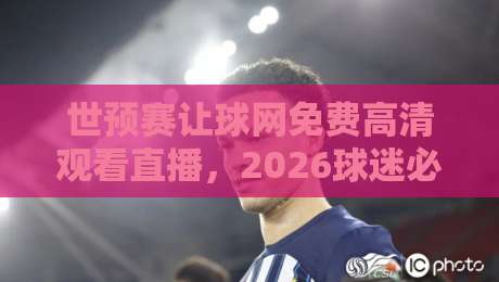 世预赛让球网免费高清观看直播，2026球迷必看的高效观赛攻略