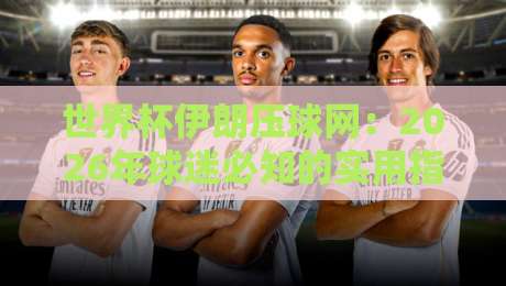 世界杯伊朗压球网：2026年球迷必知的实用指南与避坑手册