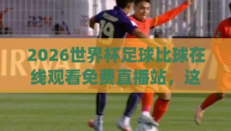 2026世界杯足球比球在线观看免费直播站，这几招让你避开雷区！(2026世界杯足球)