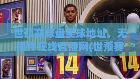 世预赛球盘买球地址，无插件在线直播网(世预赛球盘)观赛指南2026版
