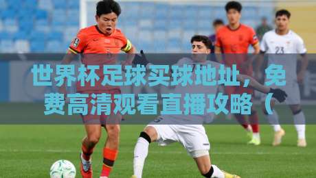 世界杯足球买球地址，免费高清观看直播攻略（2026最新版）