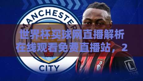 世界杯买球网直播解析在线观看免费直播站，2026年球迷必藏的观赛指南！