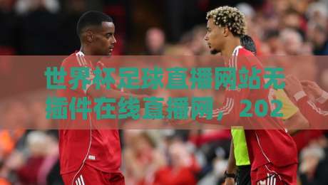 世界杯足球直播网站无插件在线直播网，2026年球迷必看的三大观赛新趋势