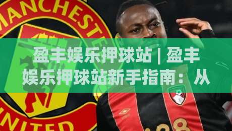盈丰娱乐押球站 | 盈丰娱乐押球站新手指南：从界面逻辑到场景化预判的进阶思路-线上十大最稳压球站策略波胆积分榜超清网站新用户