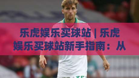 乐虎娱乐买球站 | 乐虎娱乐买球站新手指南：从界面布局到操作节奏的实用参考-线上十大最稳下球站积分榜超清网站新用户免费无延迟
