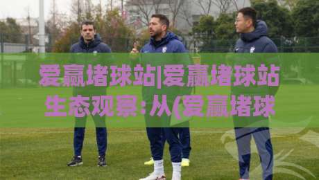 爱赢堵球站|爱赢堵球站生态观察:从(爱赢堵球站)看2026内容社区新玩法-今晚靠谱最火堵球网指南蓝光低水无需注册观看解说