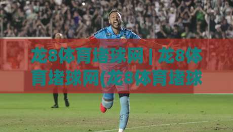 龙8体育堵球网 | 龙8体育堵球网(龙8体育堵球网)从搜索热度到体验细节的深度拆解-今晚靠谱最火买球站预选竞投论坛720P集锦软件