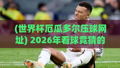 (世界杯厄瓜多尔压球网址) 2026年看球竞猜的正确打开方式 (世界杯厄瓜多尔压球网址) 2026年看球竞猜的正确打开方式