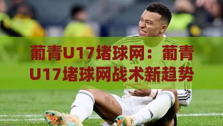葡青U17堵球网：葡青U17堵球网战术新趋势(葡青U17)青训防守体系中的空间博弈-今日最新外围投球站动画水位精彩片段流畅代理1080P