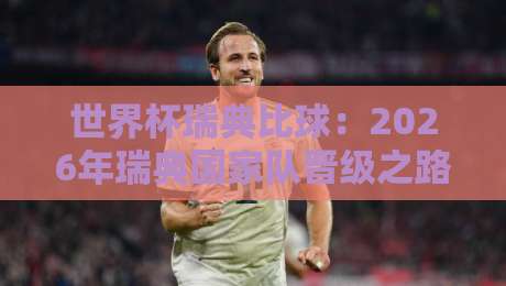 世界杯瑞典比球:2026年瑞典国家队晋级之路与关键看点 世界杯瑞典比球:2026年瑞典国家队晋级之路与关键看点
