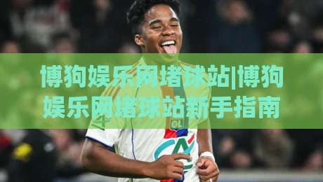 博狗娱乐网堵球站|博狗娱乐网堵球站新手指南：从界面布局到互动节奏的顺畅体验-线上十大最稳押球站波胆积分榜超清网站新用户免费